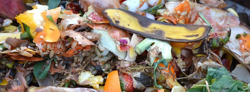 Compost Bin